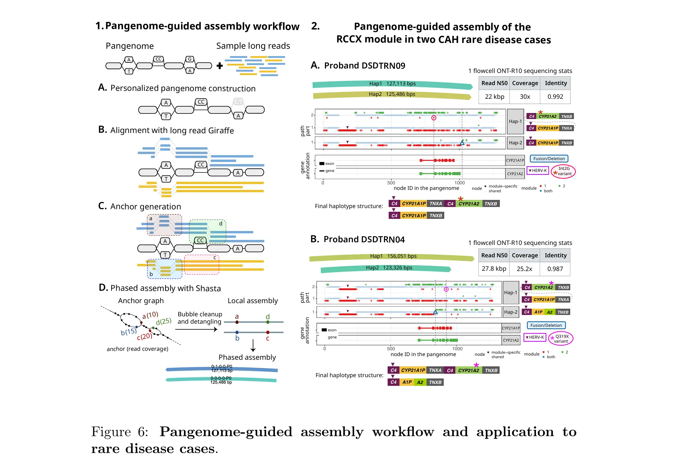 Pangenome-guided assembly workflow